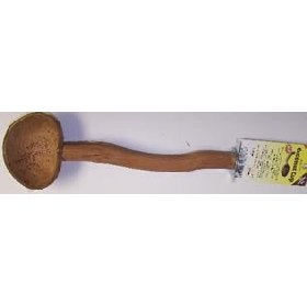Pollys Pet Products Coconut Bird Cup Size Large 1.5x16in