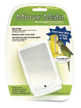 Mirror Mate Recordable Training Mirror and Feed Cup Combo