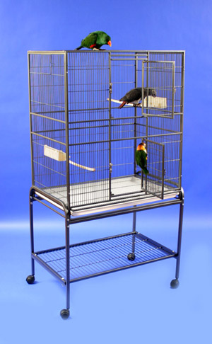 EFC Everyone's Favorite Budgie Cage