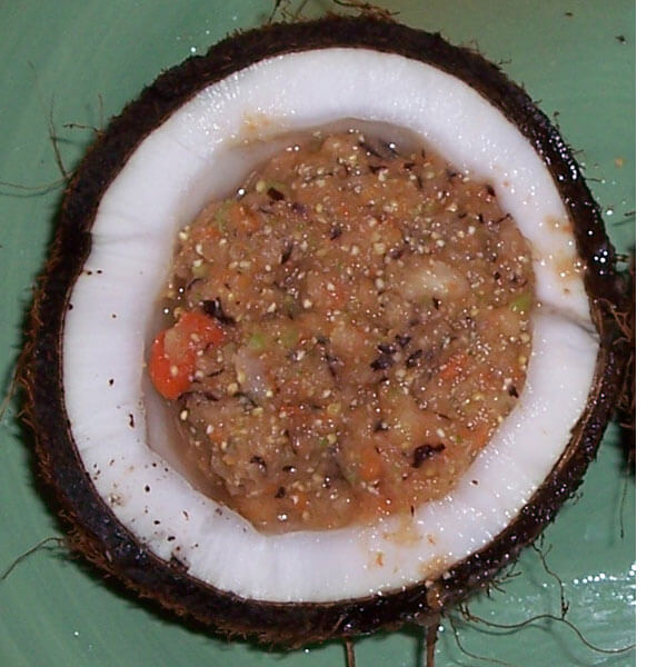 Coconut Budgie Food Recipe
